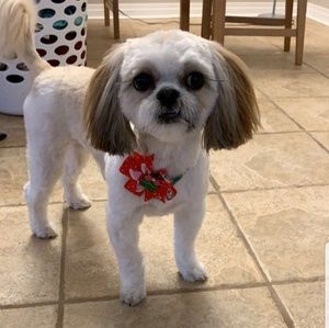 Meet your Posher, April